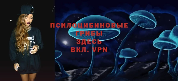 крисы Алагир