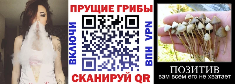Галлюциногенные грибы ЛСД  нарко площадка наркотические препараты  Новая Усмань 